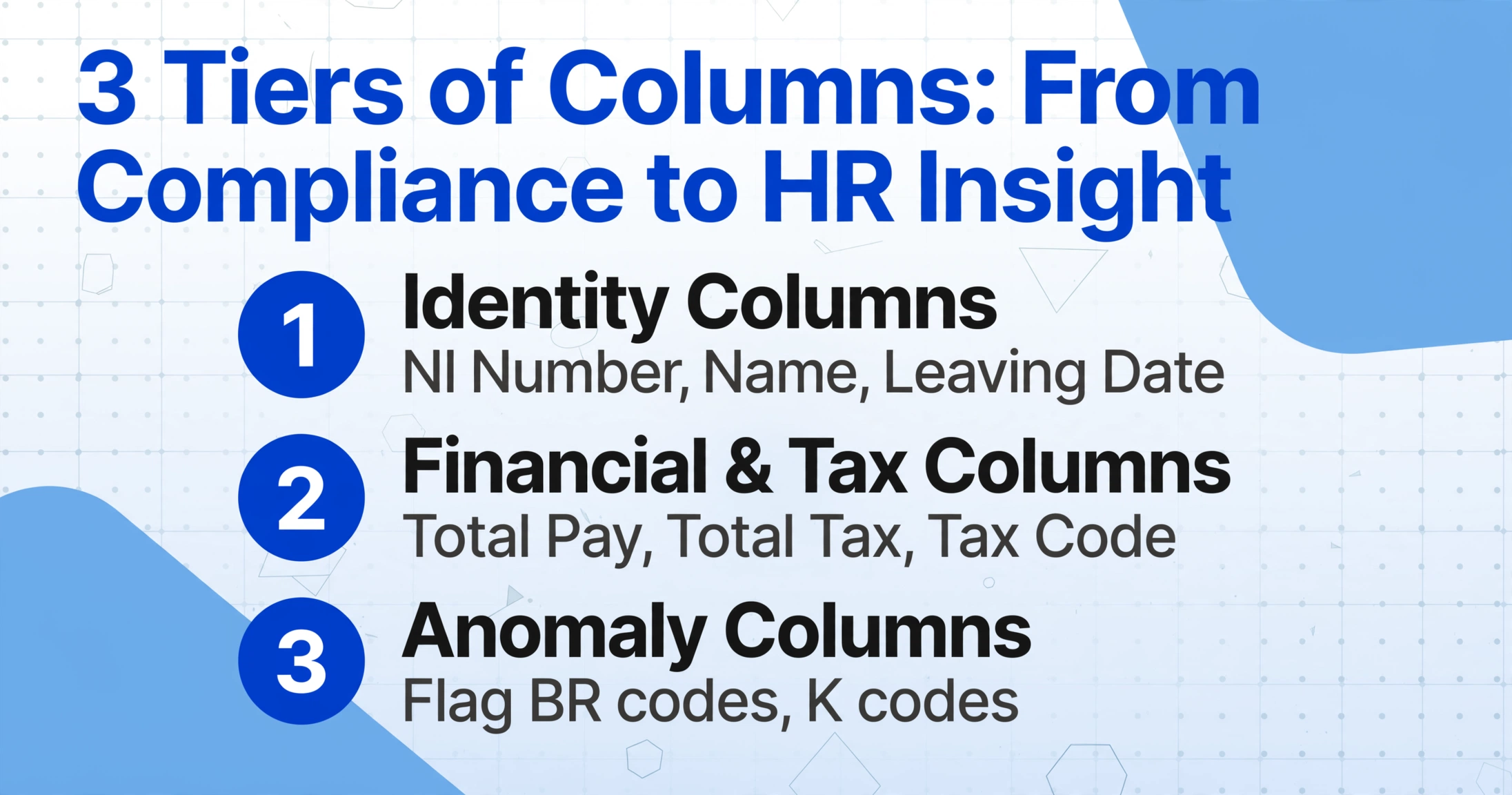 List-style infographic with three tiers of columns for a leaver database: identity columns, financial and tax columns, and anomaly columns